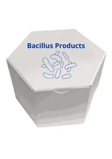 [BAC-25 Kg-257] Lactobacillus plantarum