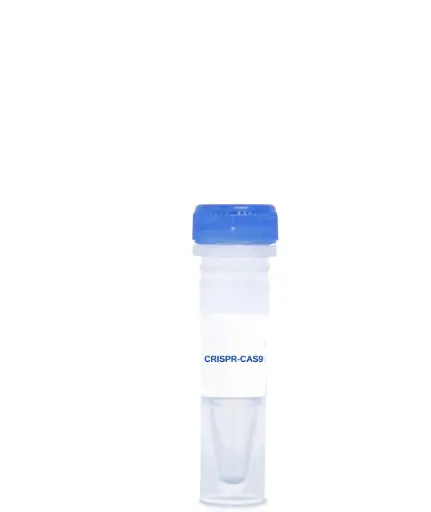 [CAS-26] BBP CRISPR/Cas9 KO Plasmid (m)